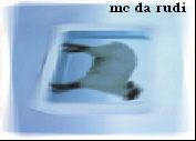 mc da rudi