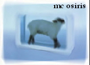 mc osiris