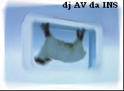 dj AV da INS